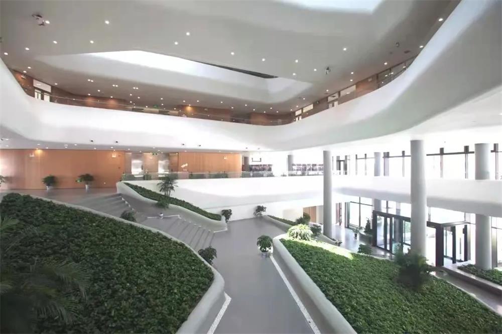 全球核心议题，多国部长聚首，第二届“一带一路”能源部长会议在青召开 11