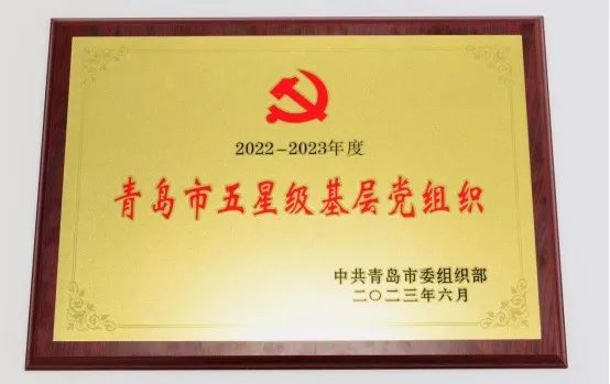 喜报！青岛国际会议中心党支部获评“青岛市五星级基层党组织” 图片