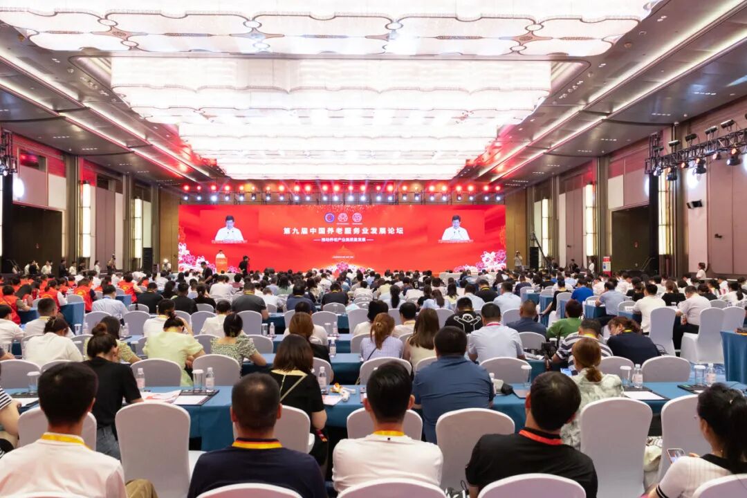 回首发展路 擘画新蓝图丨青岛国际会议中心2023年大事记 图片