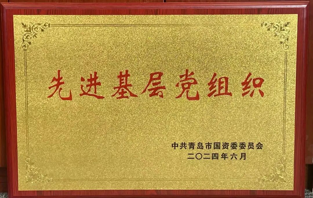 携手并肩筑新程 同心共进创新篇 | 青岛国际会议中心2024大事记 图片