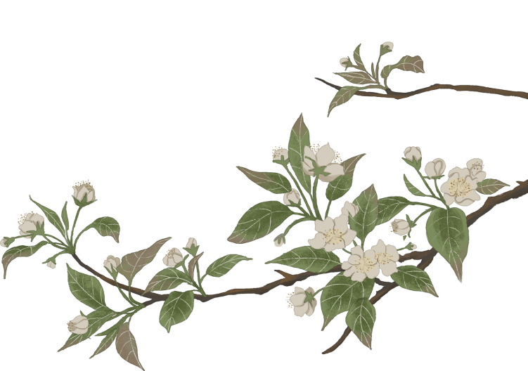 展讯｜2025“琴岛春之声”女画家邀请展暨市南区琴岛美协女画家工作委员会成立 图片