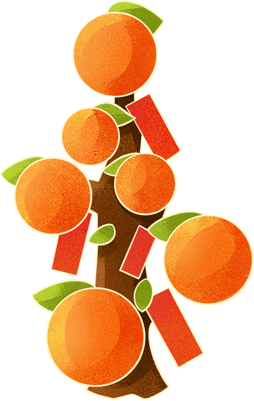 青会艺境沙龙(第五期)|非遗贺春 “柿” 事如意挂饰手作 图片