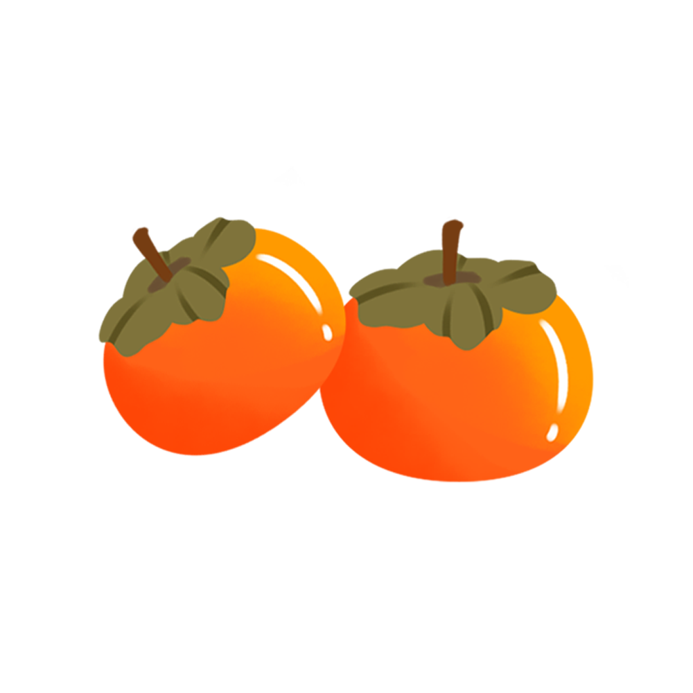 青会艺境沙龙(第五期)|非遗贺春 “柿” 事如意挂饰手作 图片